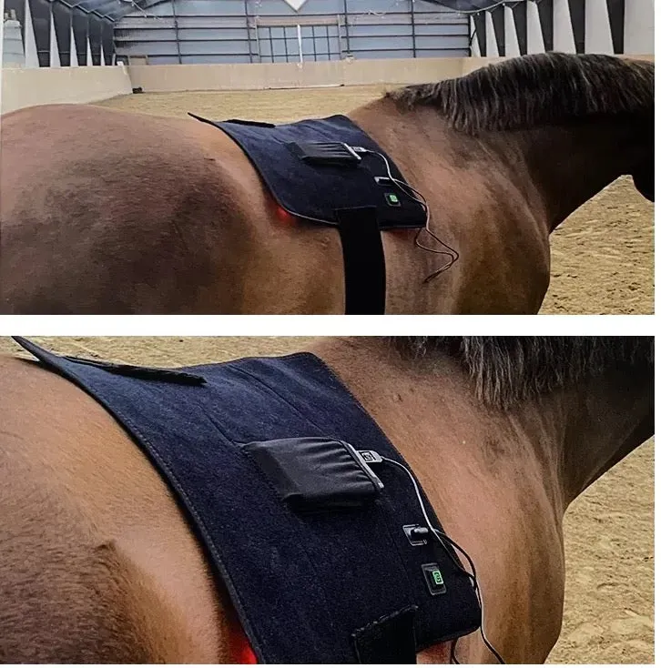 Equine Infrared RLT FULL BACK / HQ Pad 1724 Medical Grade 3-in1 LEDs 650nm 880nm Irradiance: 120w/cm2