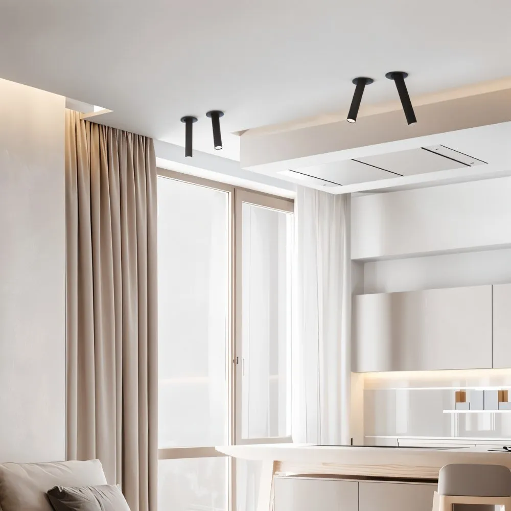 Photine Ceiling Light